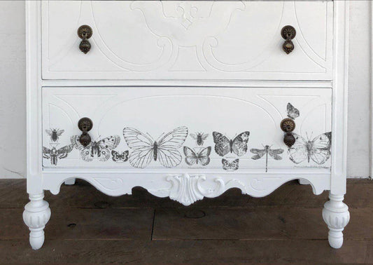 Butterflies IOD 12"x 12" Stamp