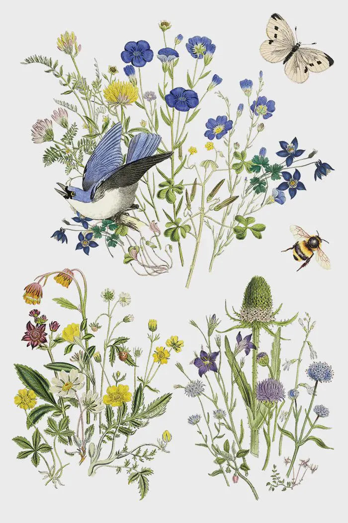 Flora Greca IOD Transfer 8"x 12" Pad
