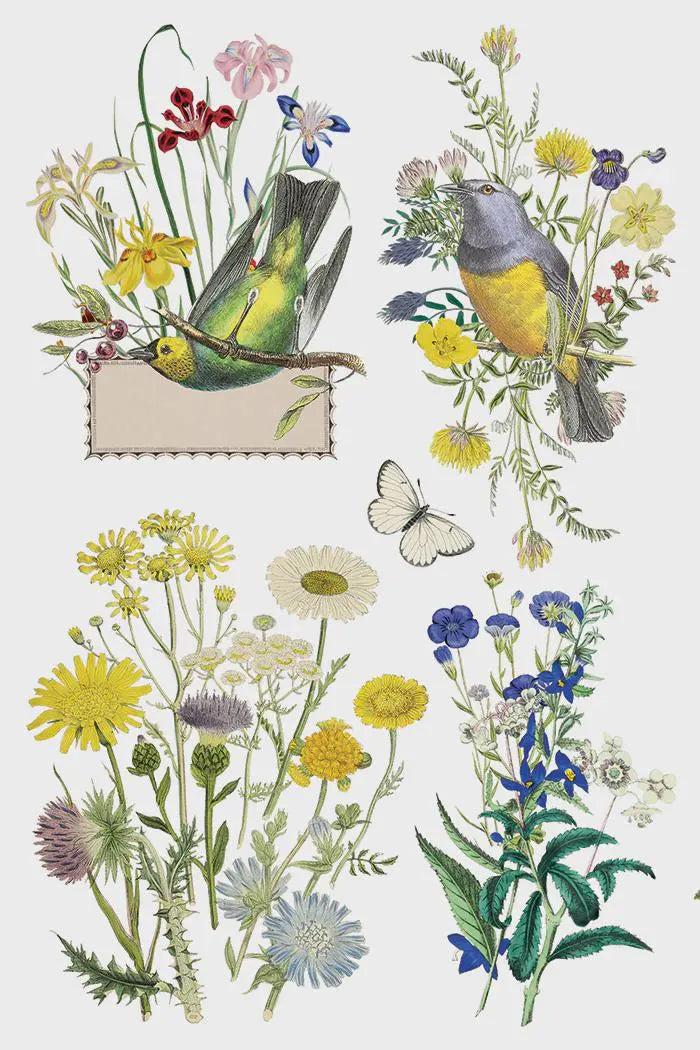 Flora Greca IOD Transfer 8"x 12" Pad