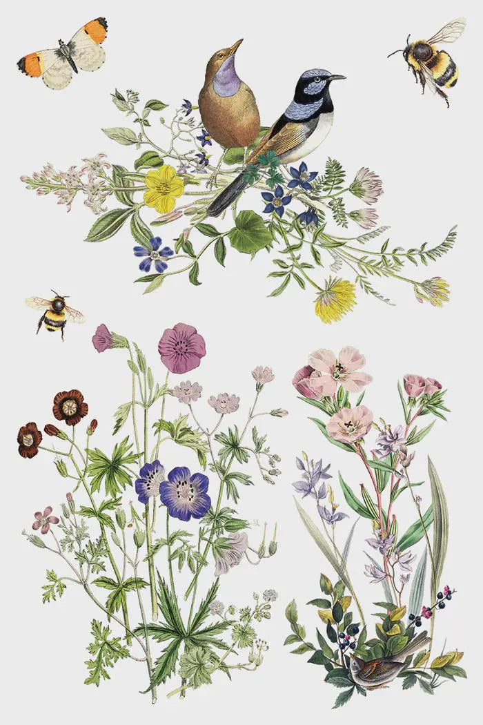Flora Greca IOD Transfer 8"x 12" Pad