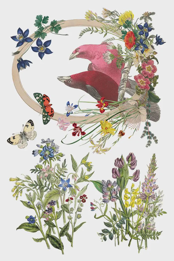 Flora Greca IOD Transfer 8"x 12" Pad