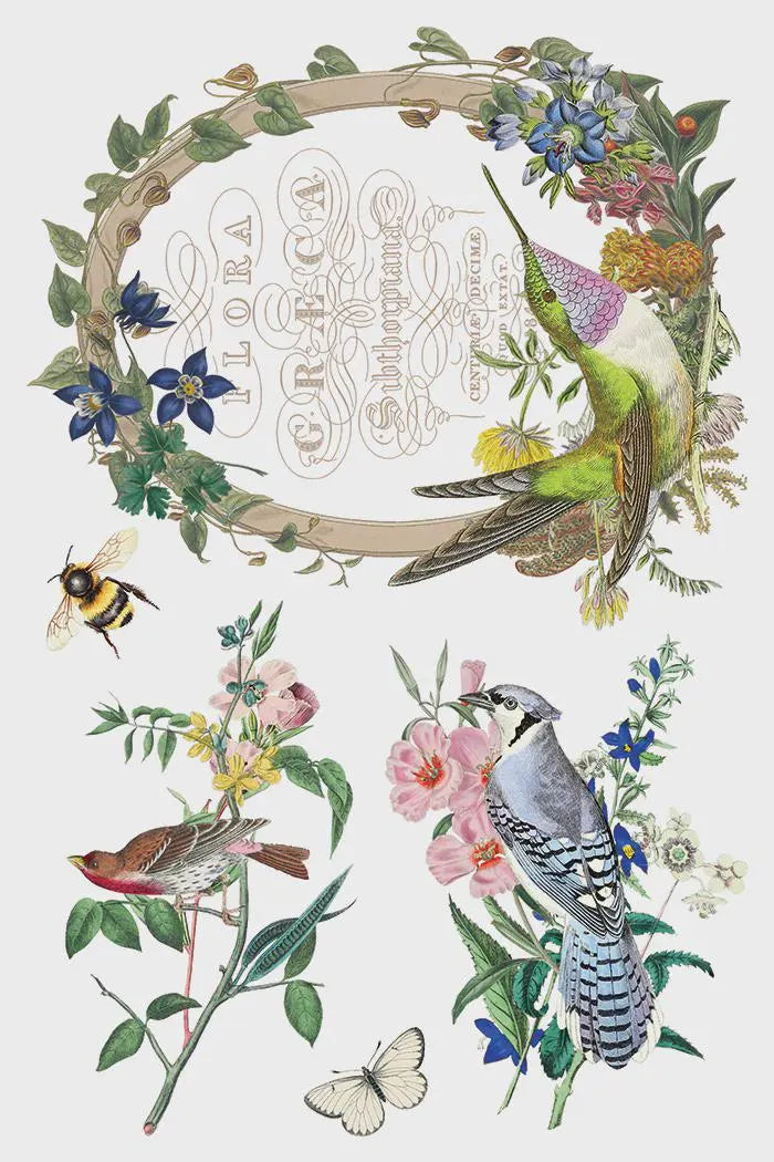Flora Greca IOD Transfer 8"x 12" Pad