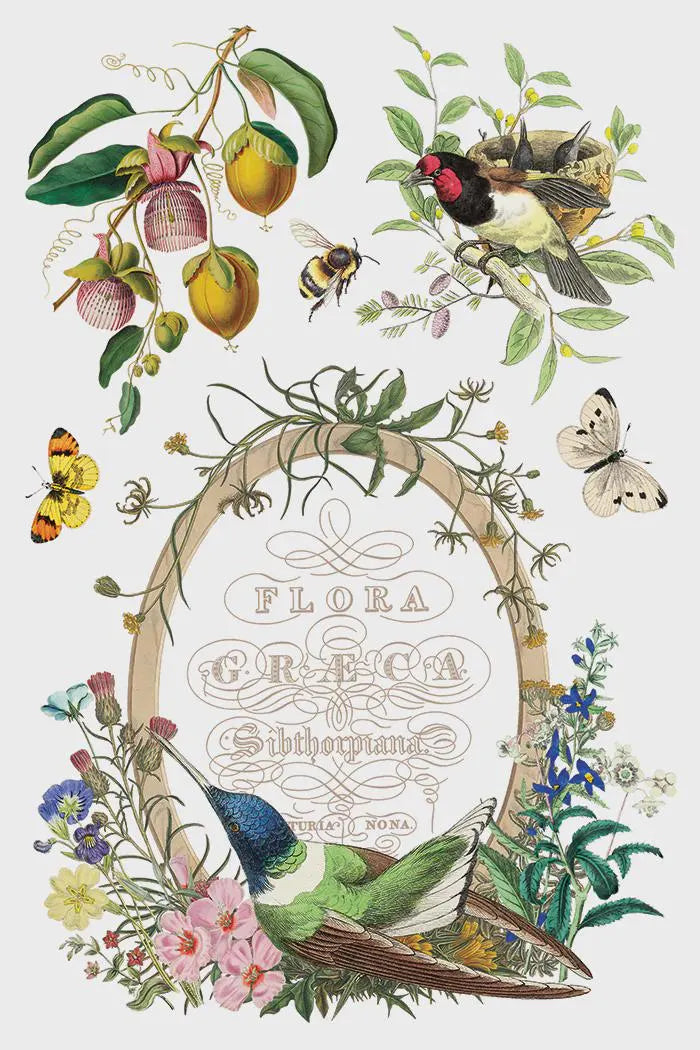 Flora Greca IOD Transfer 8"x 12" Pad