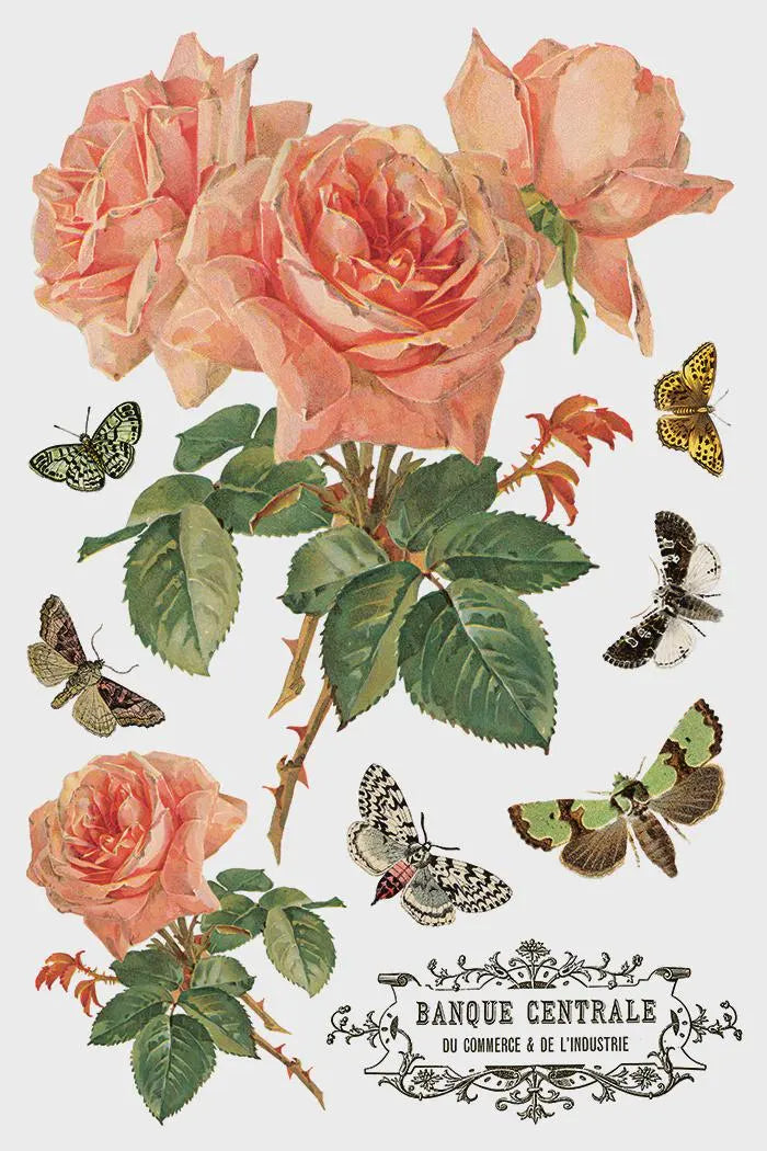 By Any Other Name IOD Transfer 8"x 12" Pad