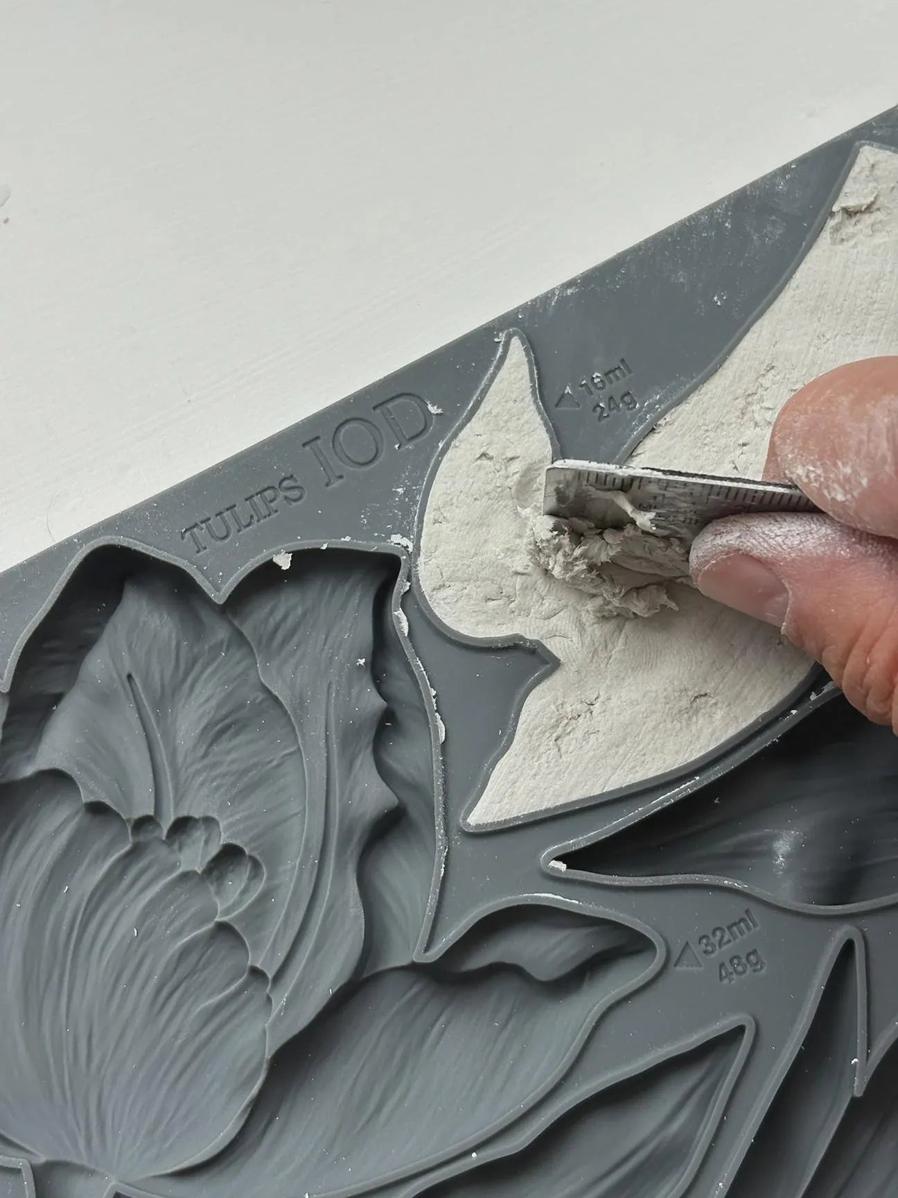 Tulip IOD 6"x 10" Mould