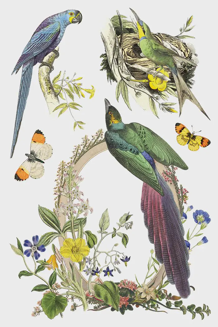 Flora Greca IOD Transfer 8"x 12" Pad