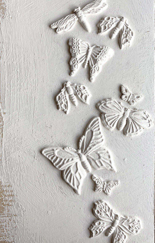 Monarch IOD 6"x 10" Mould