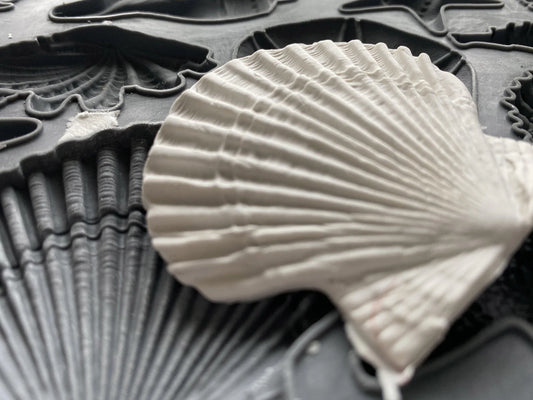 Sea Shells IOD 6"x 10" Mould