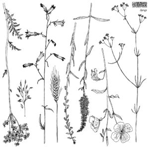 Sprigs 12x12 IOD Stamp