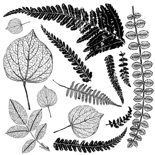 Frond 12x12 IOD Decor Stamp