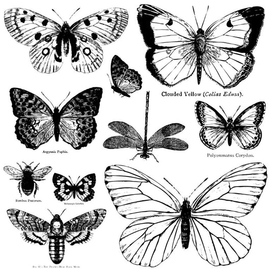 Butterflies 12x12 IOD Decor Stamp