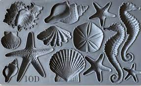 Sea Shells 6x10 IOD Mould